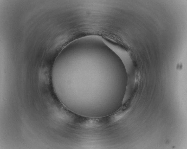 X0000091580080200709051109