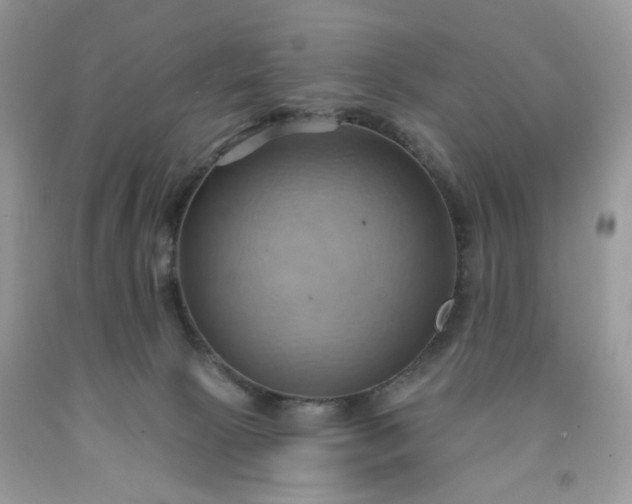 X0000091580081200709051109