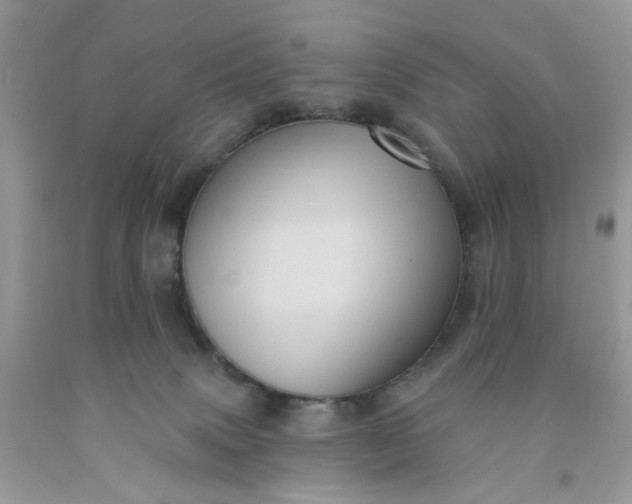 X0000091580083200709051109