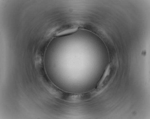 X0000091580084200709051109