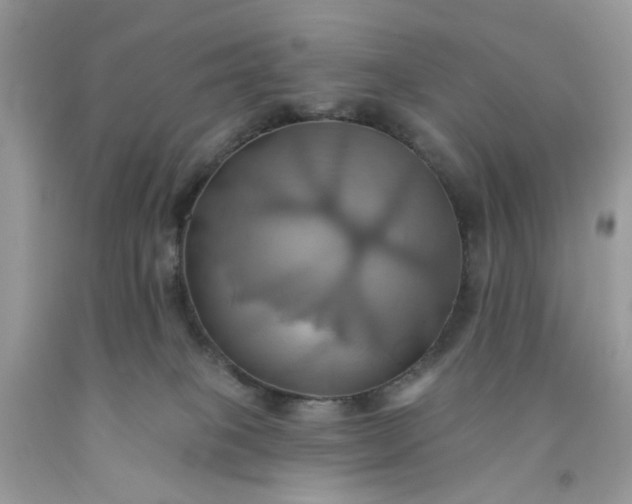 X0000091580085200709051109