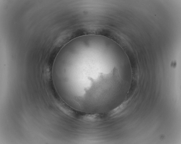 X0000091580086200709051110