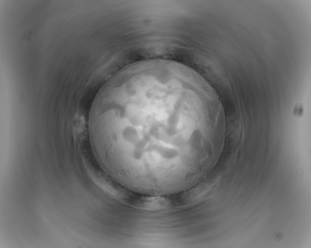 X0000091580087200709051110