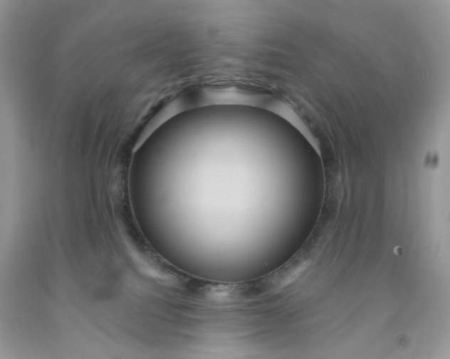 X0000091580088200709051110