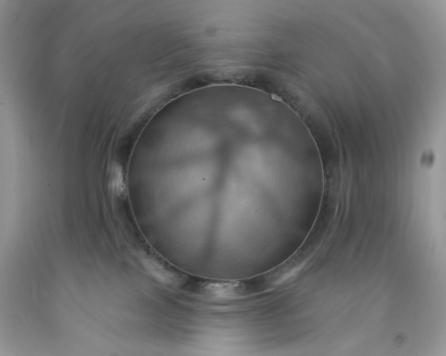 X0000091580089200709051110