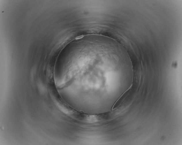 X0000091580091200709051110