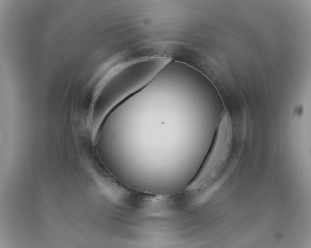 X0000091580092200709051110