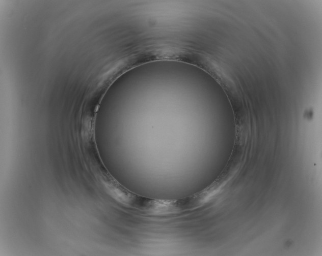 X0000091580093200709051110