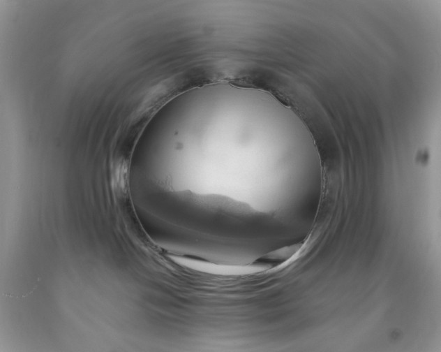 X0000091580094200709051110