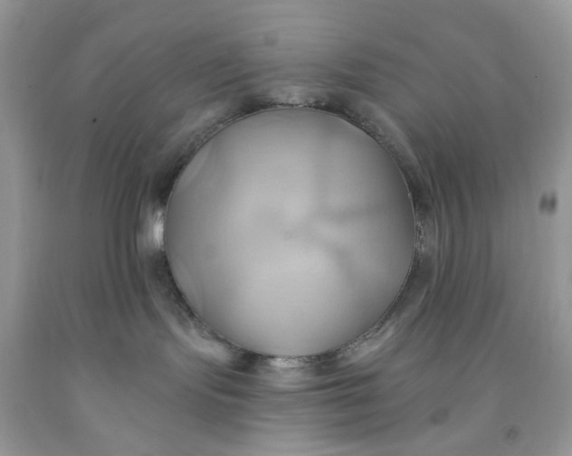 X0000091580095200709051110