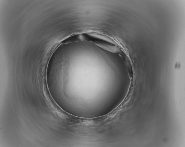 X0000091580097200709051109