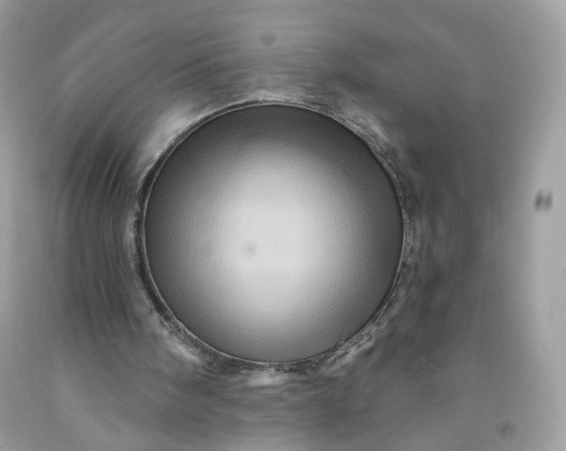 X0000091580098200709051109