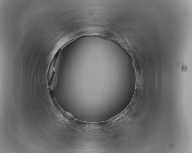 X0000091580099200709051109