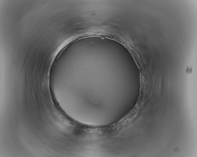 X0000091580100200709051109