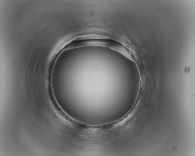 X0000091580101200709051109