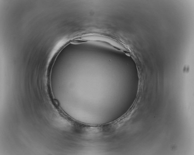 X0000091580102200709051109