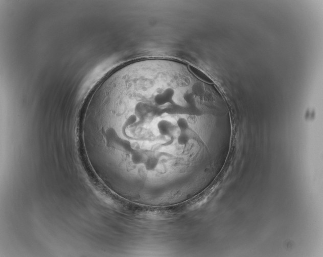 X0000091580103200709051109