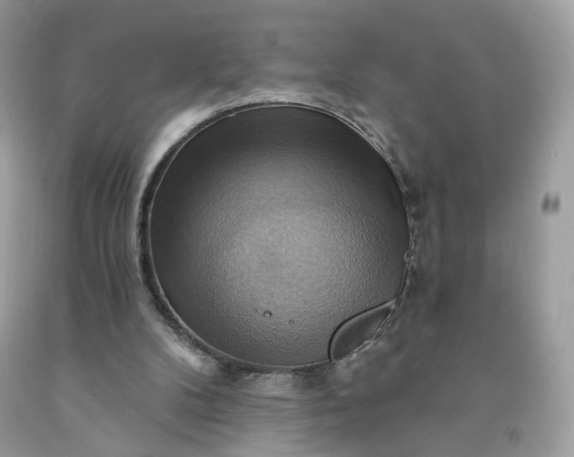 X0000091580104200709051109