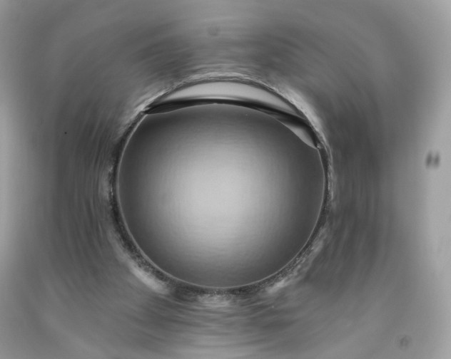 X0000091580105200709051109