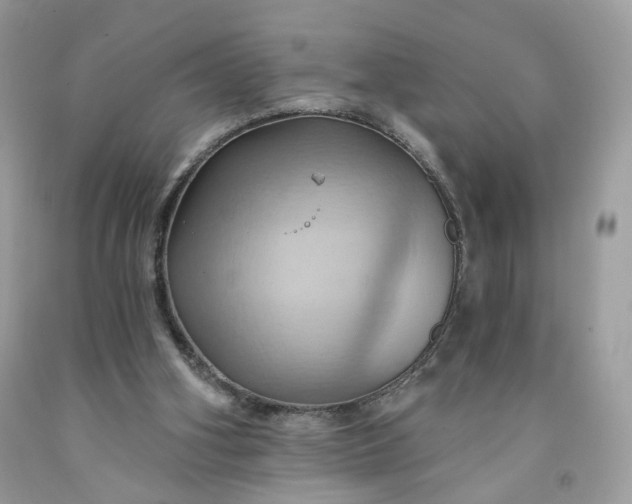 X0000091580106200709051109