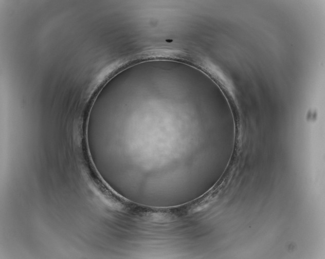 X0000091580107200709051109