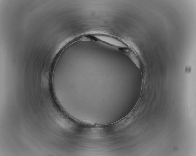 X0000091580108200709051109