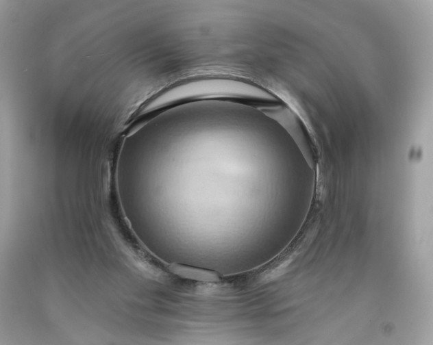 X0000091580109200709051109