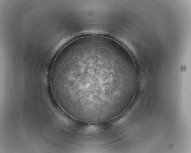 X0000091580111200709051109