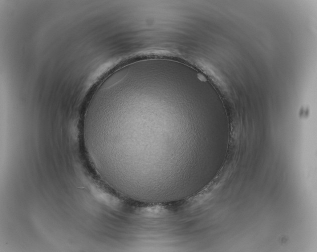 X0000091580112200709051109