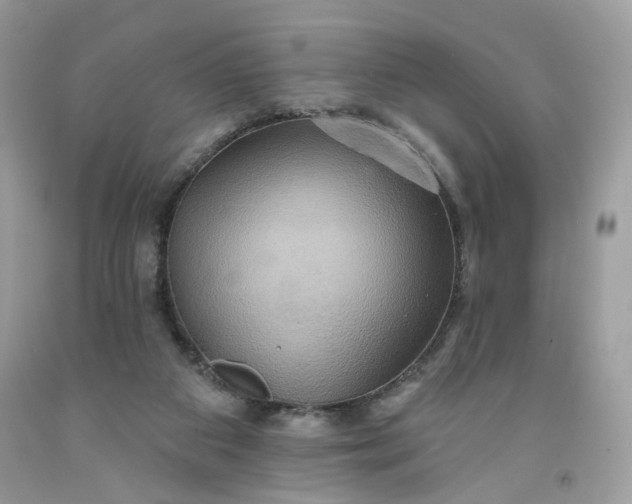 X0000091580113200709051109