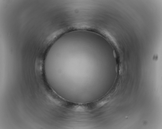 X0000091580115200709051109