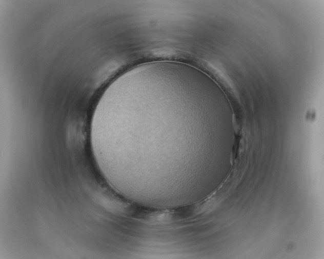 X0000091580116200709051109