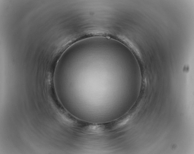 X0000091580117200709051109