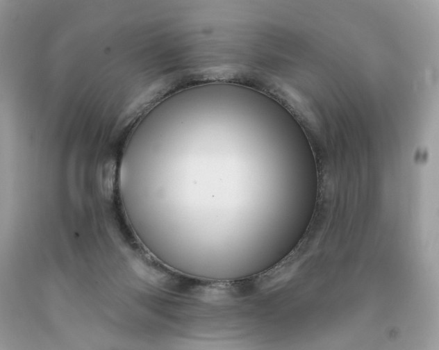 X0000091580118200709051109