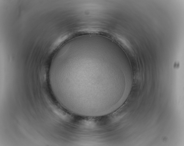 X0000091580120200709051109