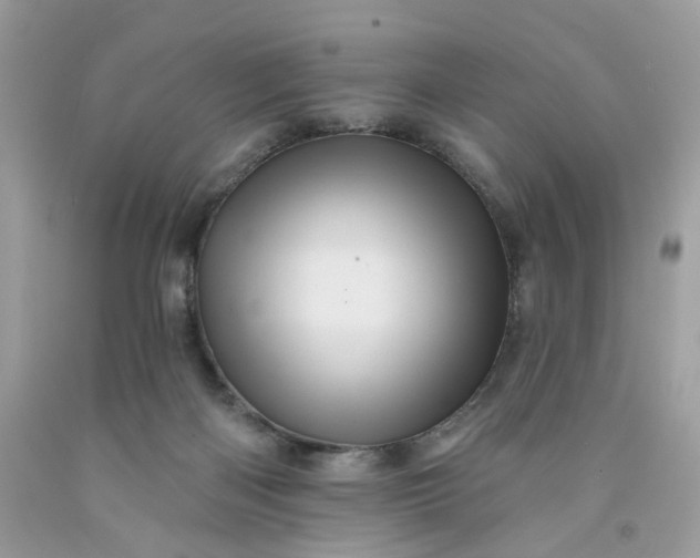 X0000091580122200709051109