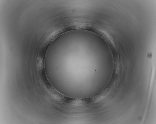 X0000091580123200709051109