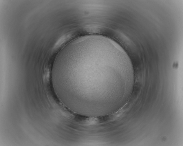 X0000091580124200709051109