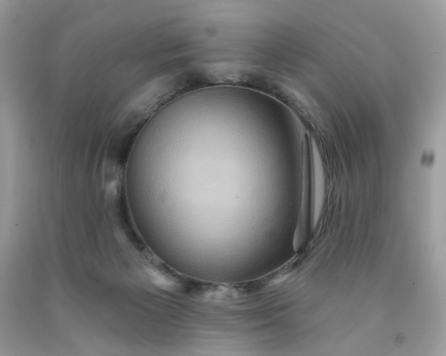 X0000091580125200709051109