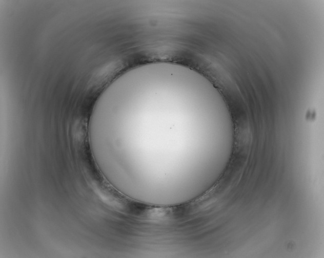 X0000091580126200709051109