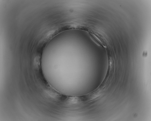 X0000091580127200709051109