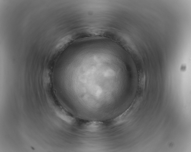 X0000091580128200709051109