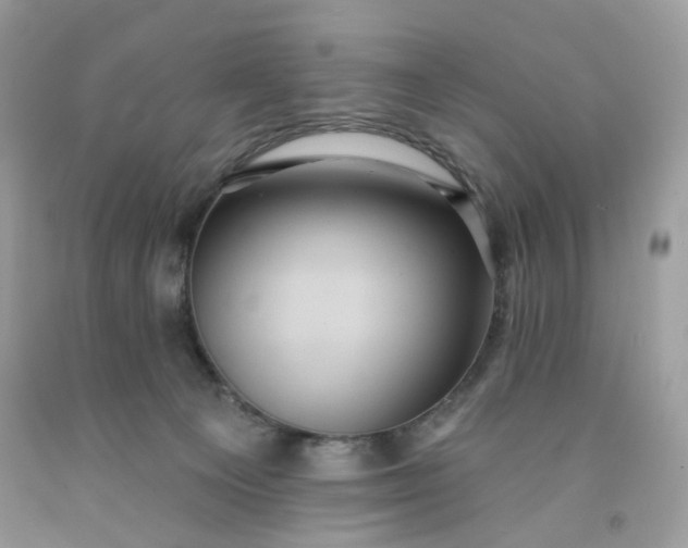 X0000091580129200709051109