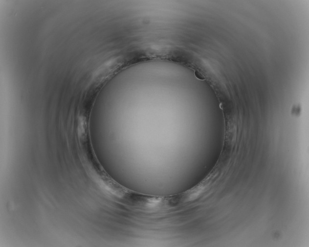 X0000091580130200709051109