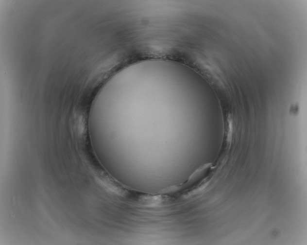 X0000091580131200709051109