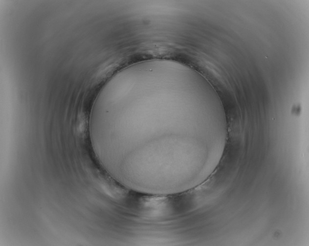 X0000091580132200709051109