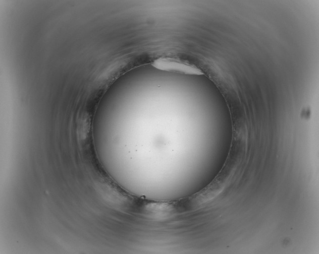 X0000091580133200709051109