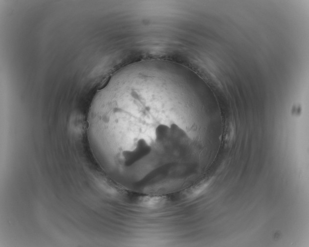 X0000091580135200709051109