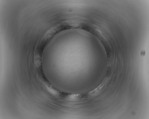 X0000091580136200709051109