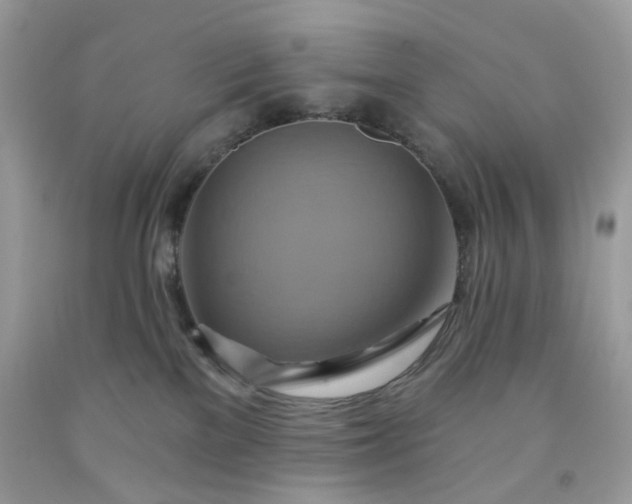 X0000091580137200709051109